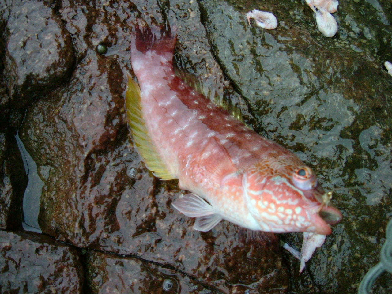 f0035404_14182253.jpg