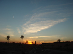 d0126508_623965.jpg