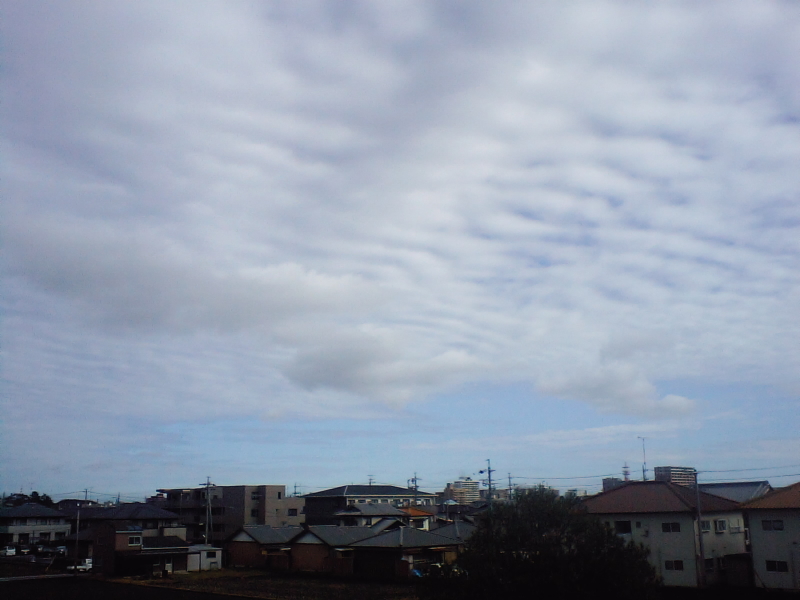 a0030713_2020301.jpg