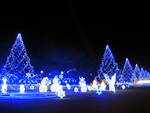 e0076814_20481393.jpg