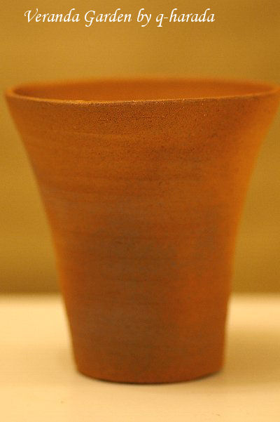 a0055024_7482854.jpg