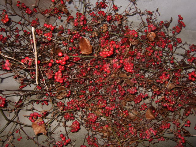 c0136324_20231960.jpg