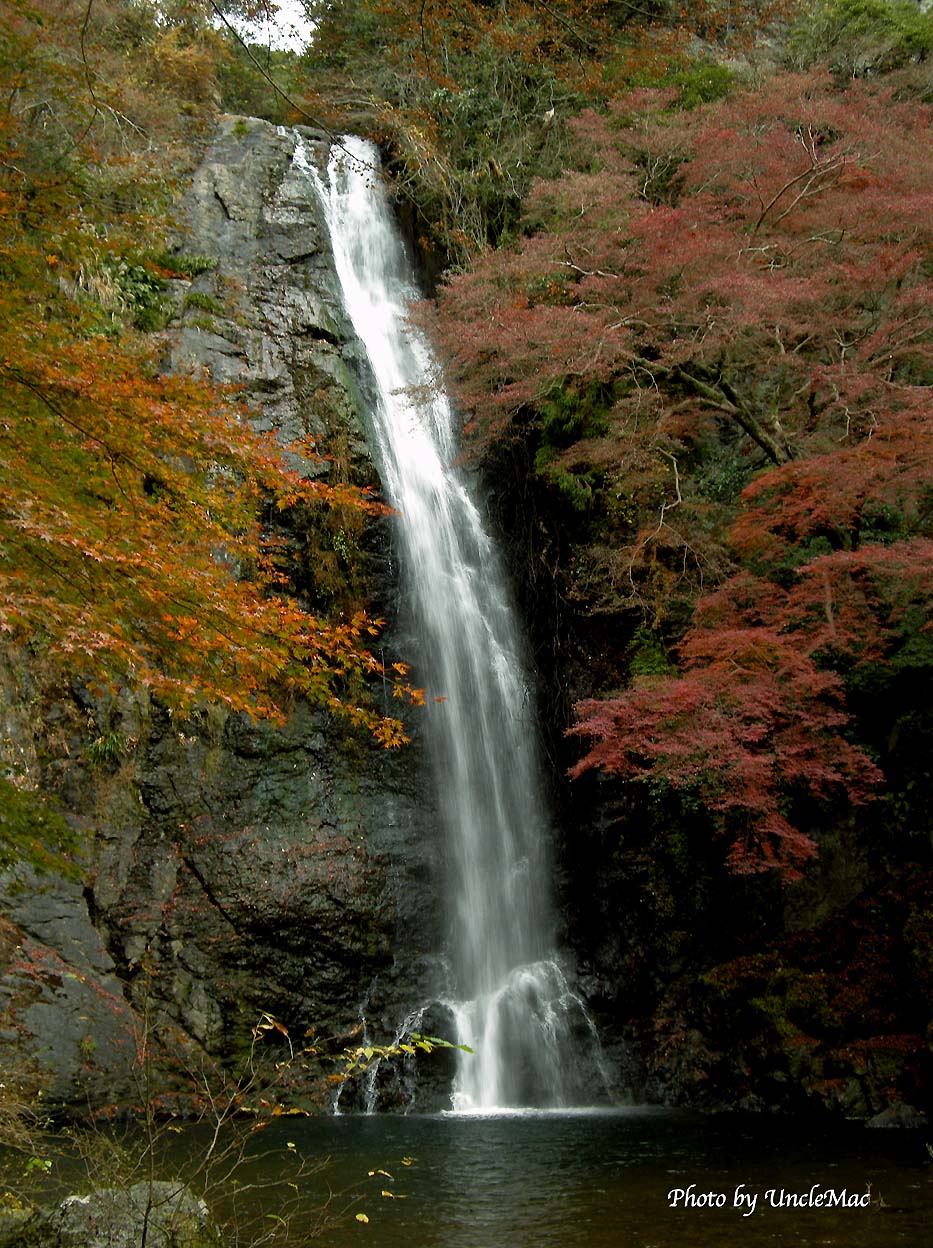 e0028625_8275240.jpg