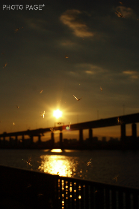 b0063234_05845.jpg