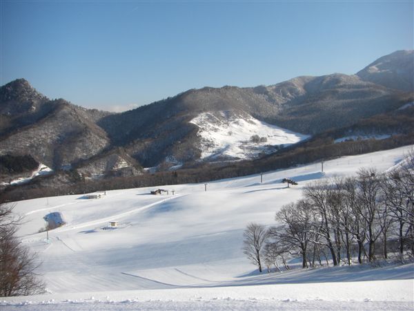 c0081645_22555090.jpg