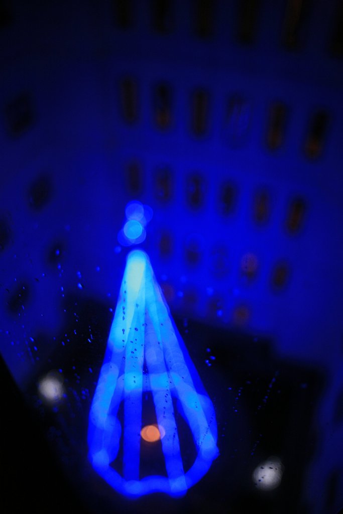d0001745_1271230.jpg