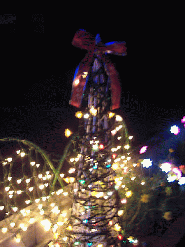 f0031546_9534266.gif