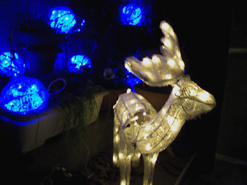 f0031546_953578.gif