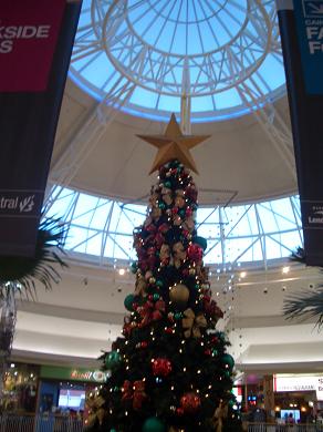 a0098948_017624.jpg