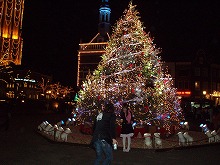 d0048350_22381011.jpg