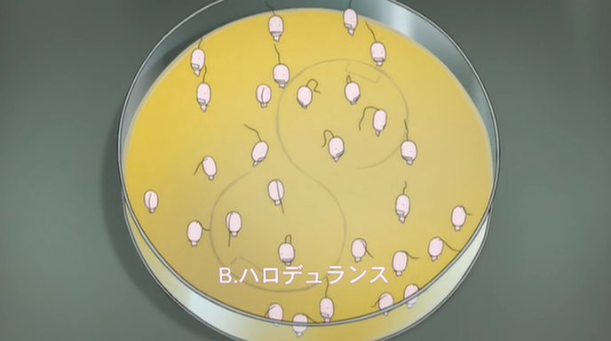 もやしもん 1 2話 Invisible Ray もやしもん 1 2話 Invisible Ray
