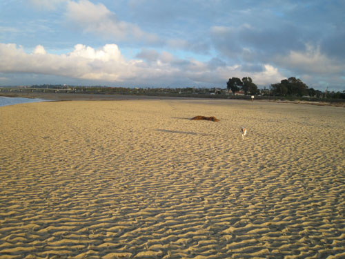 f0013255_12543455.jpg
