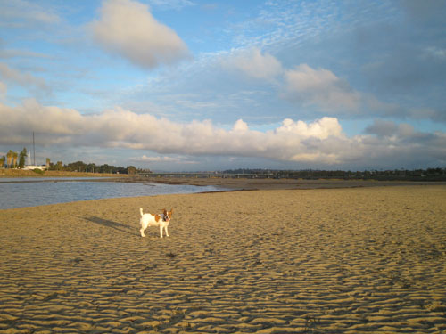 f0013255_12551344.jpg