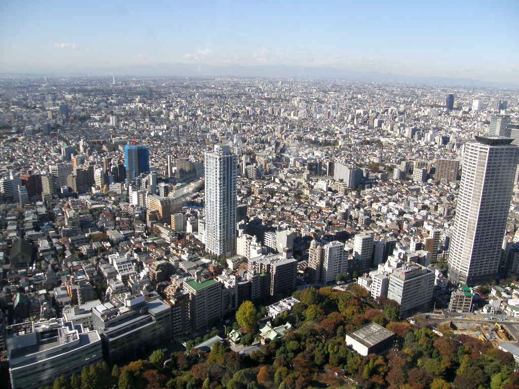 e0064158_1243280.jpg