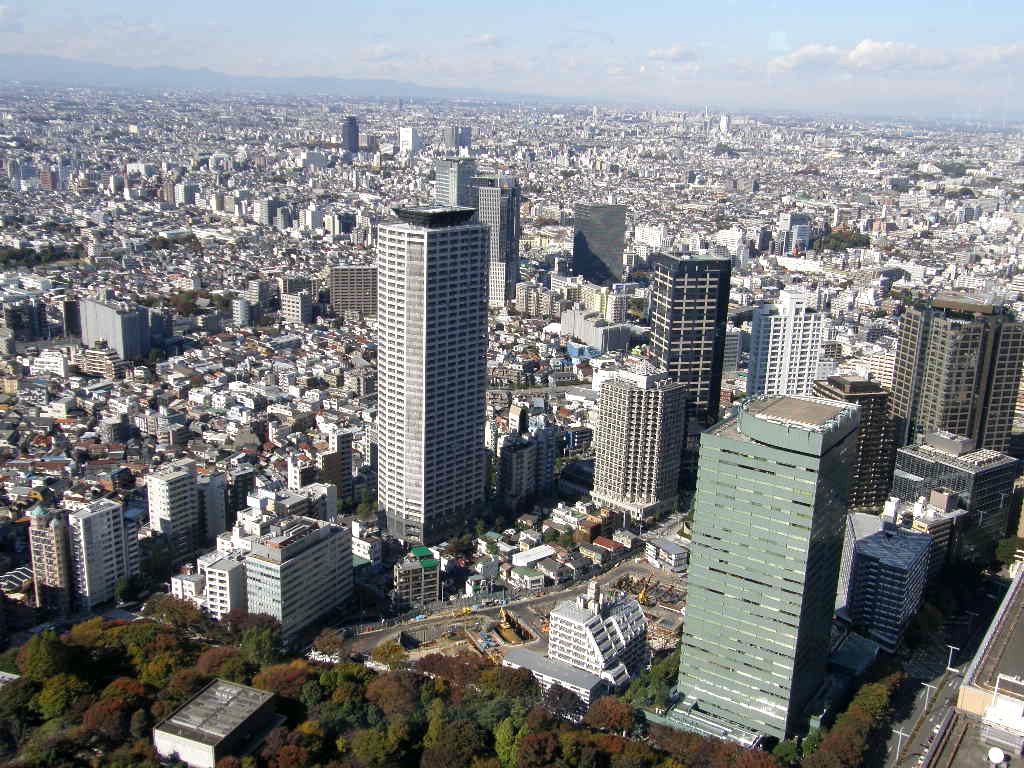 e0064158_1293059.jpg