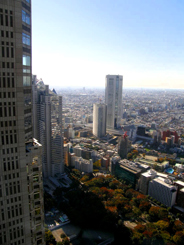 e0064158_1301721.jpg