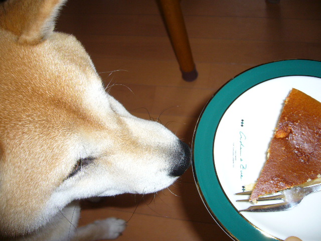 2007年12月23日(日)雨で寒い日はM-1を見よう!_f0060461_20481917.jpg