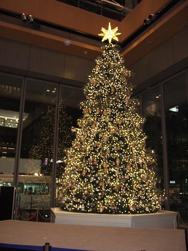 クリスマス　in Marunouchi_d0032363_7123652.jpg