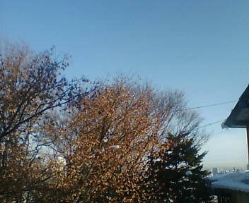 e0068480_1075769.jpg