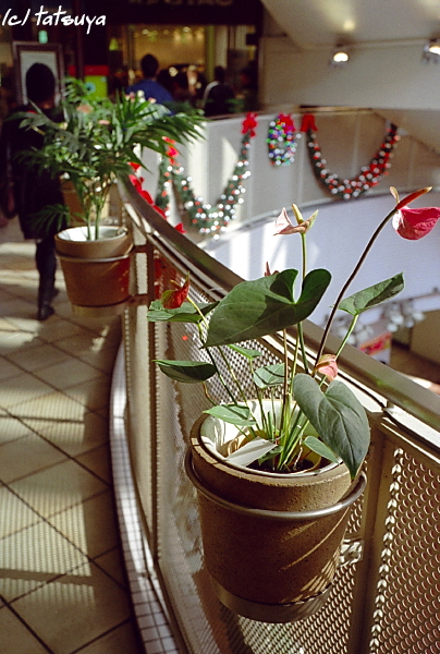 f0139991_1231255.jpg