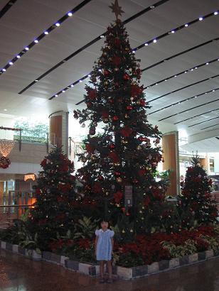 e0121993_16394896.jpg