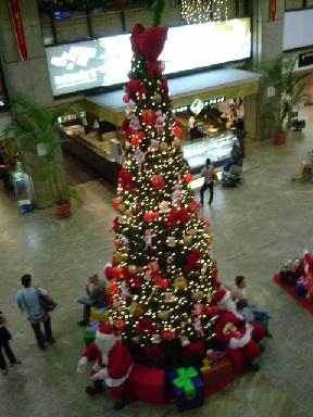 e0118096_5111838.jpg
