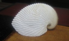f0027396_22202316.jpg