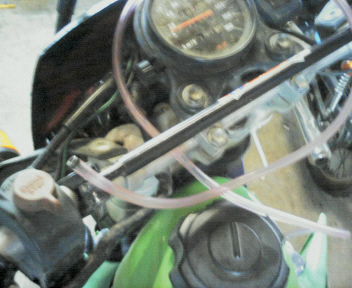 e0104702_1035983.jpg