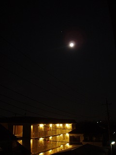 f0147602_4315880.jpg