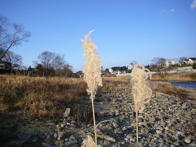 青葉城下の大橋の風景でも_b0050305_16535863.jpg