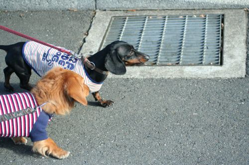 イベントヘGo～♪_e0016009_17252289.jpg