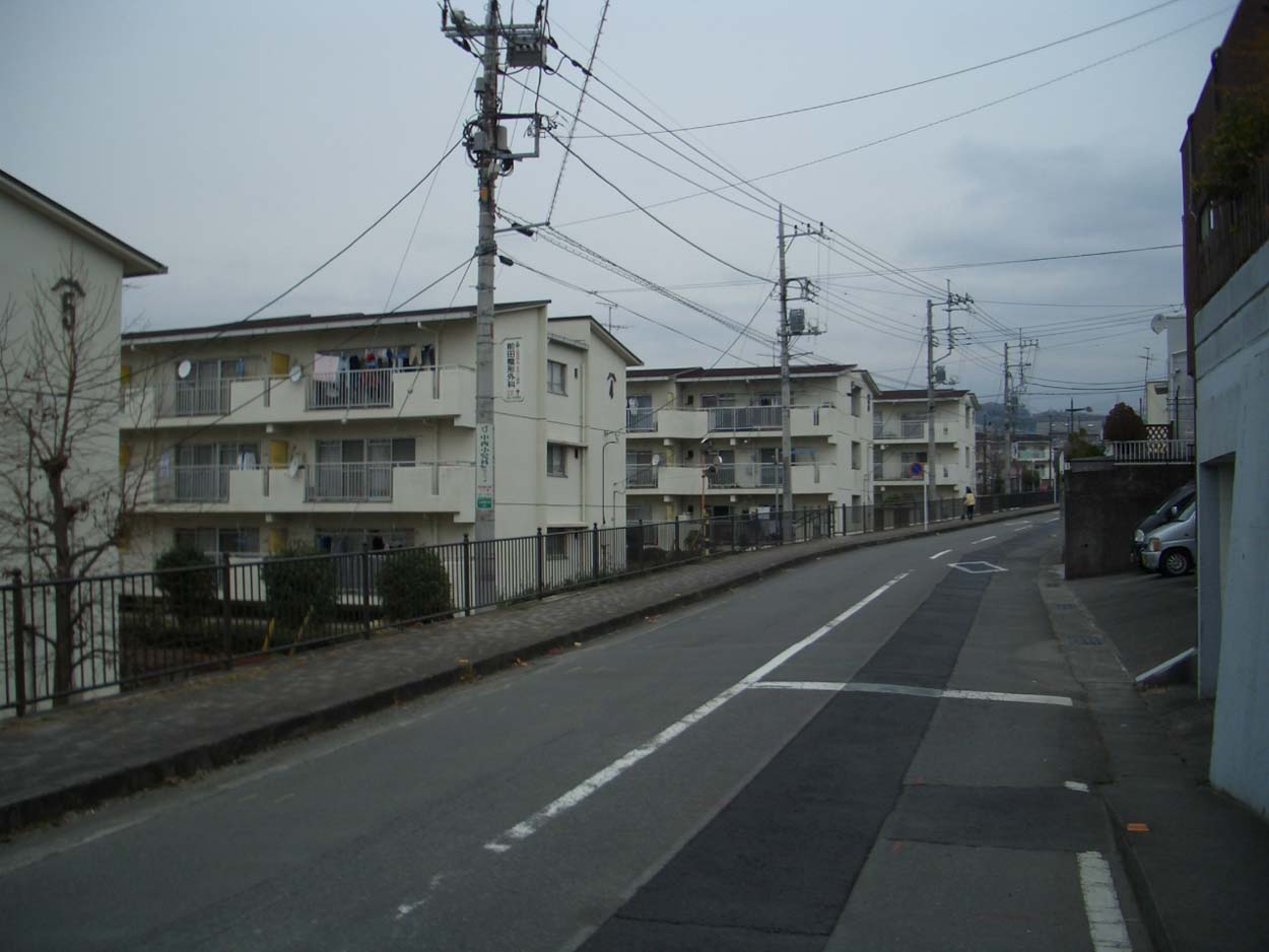 一万歩　広見　富士を仰ぐ遺跡と公園コース_f0141310_23404023.jpg