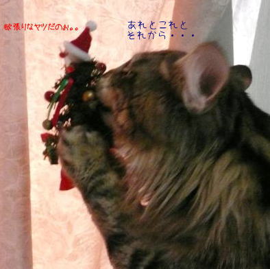 メリークリスマス☆_c0027311_23282935.jpg