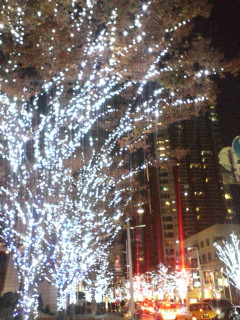 クリスマスイルミネーション_d0091416_23261328.jpg