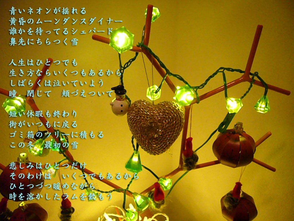 メリークリスマス〜_e0109817_2384178.jpg
