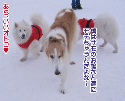 a0044521_2222620.jpg