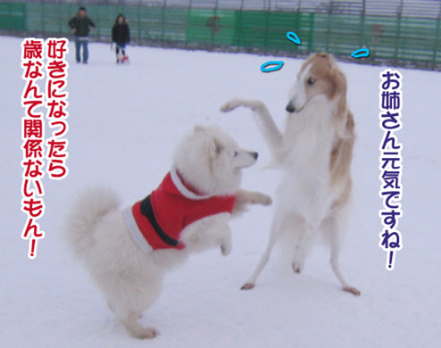 a0044521_224939.jpg