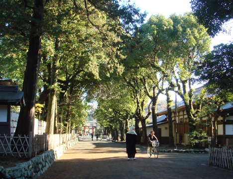 b0118624_22482189.jpg