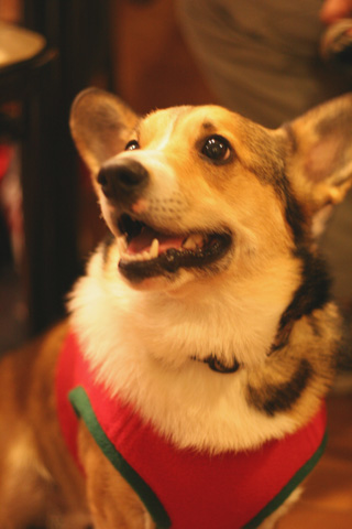 e0071225_0394214.jpg