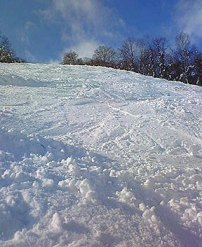 e0089227_17224097.jpg