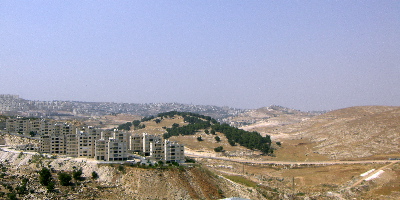 f0136327_10265432.jpg