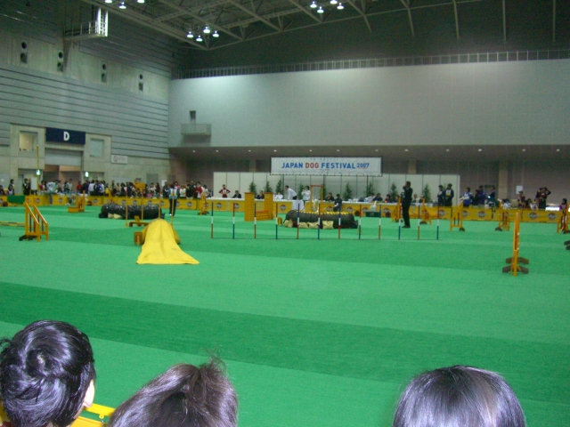 c0123029_17554981.jpg