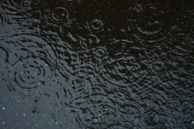 f0145933_1028307.jpg