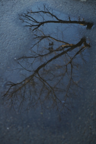 f0145933_10295360.jpg