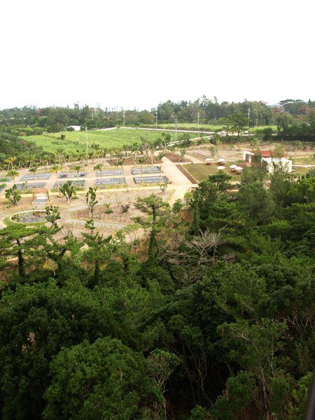 d0125535_1473151.jpg