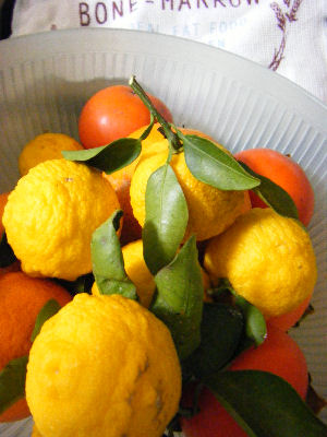 c0069036_17382717.jpg