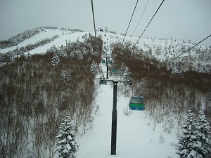 f0065941_2357767.jpg