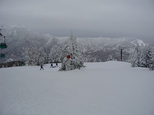 f0065941_23585963.jpg