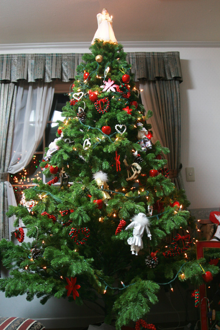 2007 クリスマス&クリスマスディナー_a0076043_14235680.jpg