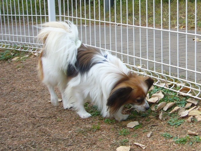 e0100046_18284241.jpg
